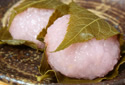 사쿠라 모찌